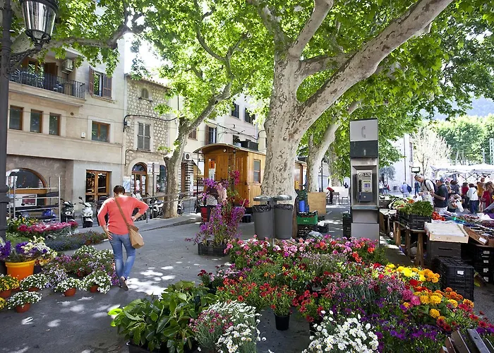 Can Moragues De Sóller